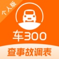 车300的圖標