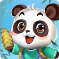 江湖熊猫 icon