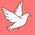 小白鸽 wechatShareImg