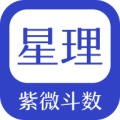 星理 icon