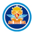 武汉消防 значок