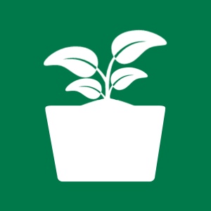 植物租摆 wechatShareImg