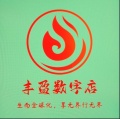 丰盈数字