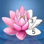 Zen Color icon