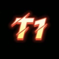 T1鉴定的图标