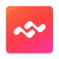 数字心动 icon