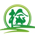 丝路车检 icon