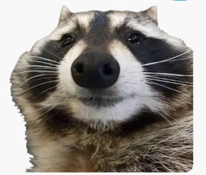 PhongYT icon