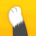 猫爪 wechatShareImg