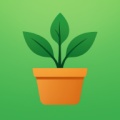 植迹