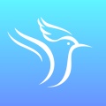 布蓝鸟 wechatShareImg