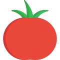 番茄文库 icon