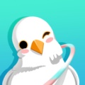 呼啦鸽 wechatShareImg
