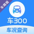 车300专业版 wechatShareImg