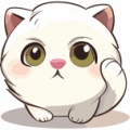 喵喵记账 wechatShareImg