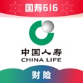 中国人寿财险的圖標