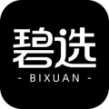 碧选de l'icône