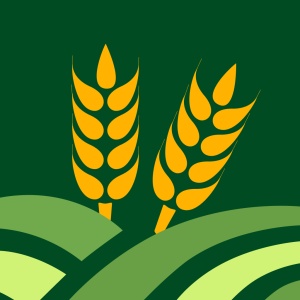智农宝Symbol