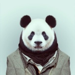 兰盛OneSport wechatShareImg