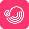 灰豚数据 wechatShareImg