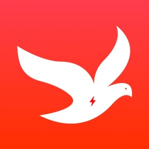电鸽 wechatShareImg