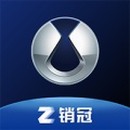 腾势销冠ikona