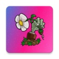 lzscpvz icon