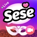 SeSe的图标