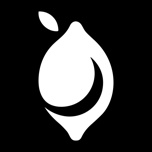 monthlyLast icon