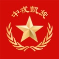 中戎凯旋 значок