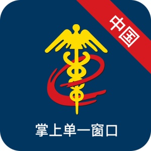 掌上单一窗口 icon