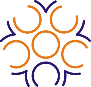 LaoWhy icon