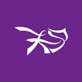 紫夫马icona