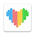 Wearfit Pro icon
