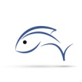 小鱼儿 icon