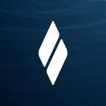 睿蓝汽车 icon