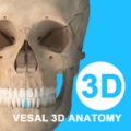 维萨里3D解剖教学 wechatShareImg