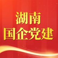 湖南国企党建 wechatShareImg