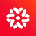 大于众学ikona