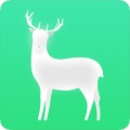 Flutter Deer icon