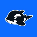 网鱼 icon