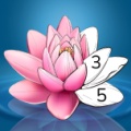 Zen Color wechatShareImg