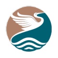 智能祭拜系统 icon