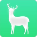 Flutter Deerไอคอน