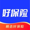 梧桐树的圖標