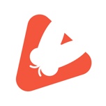 蝉妈妈 icon
