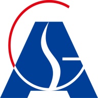 安责险 icon