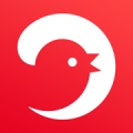 电巢 icon