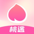 桃遇DEBUG icon