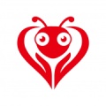 小蚁社工 icon